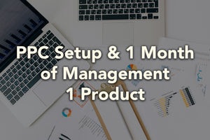PPC Setup and 1 Month of Management - 1 Product
